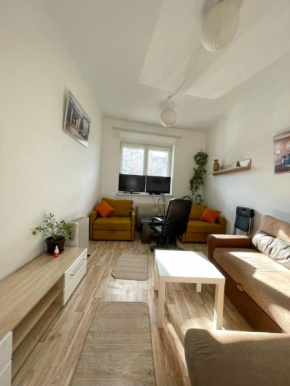 Apartment in the hearth of Belgrade Serbia